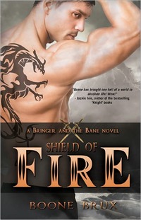 Shield of Fire by Boone Brux
