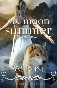 Six Moon Summer by S M Reine