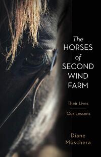 The Horses Of Second Wind Farm