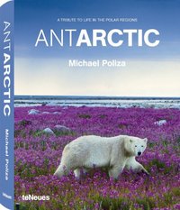 Antarctic by Michael Poliza