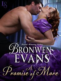 A Promise of More by Bronwen Evans