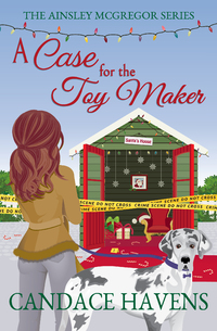 A Case for the Toy Maker