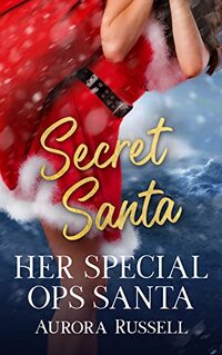 Her Special Ops Santa