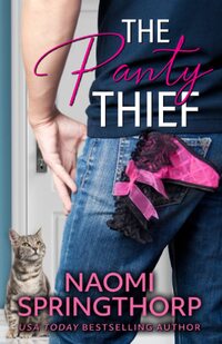 The Panty Thief