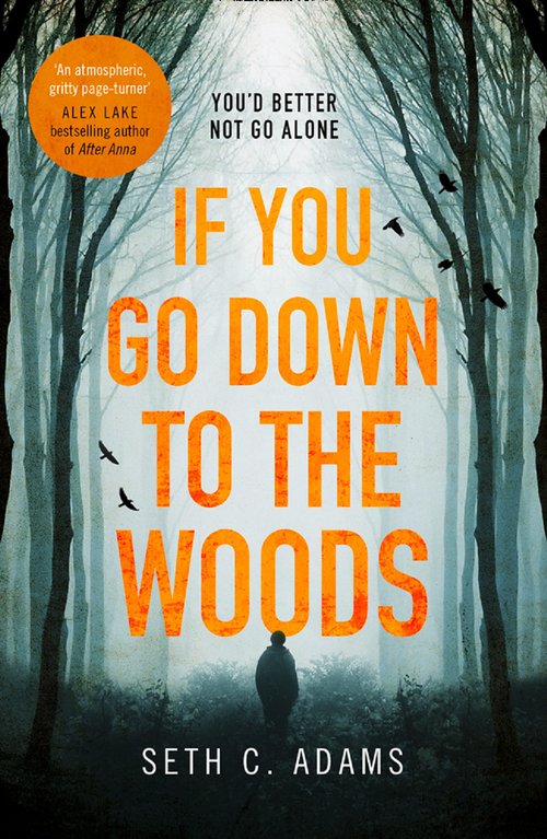 If You Go Down to the Woods by Seth C. Adams