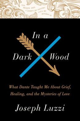 In a Dark Wood by Joseph Luzzi