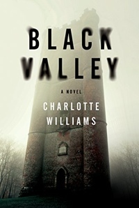Black Valley by Charlotte Williams