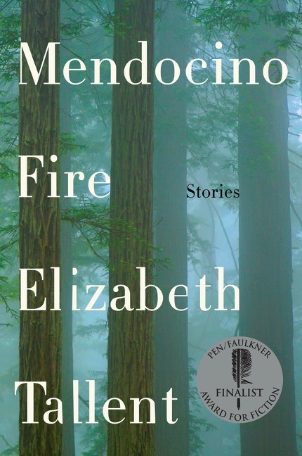 Mendocino Fire by Elizabeth Tallent