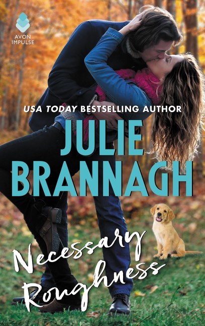 Necessary Roughness by Julie Brannagh