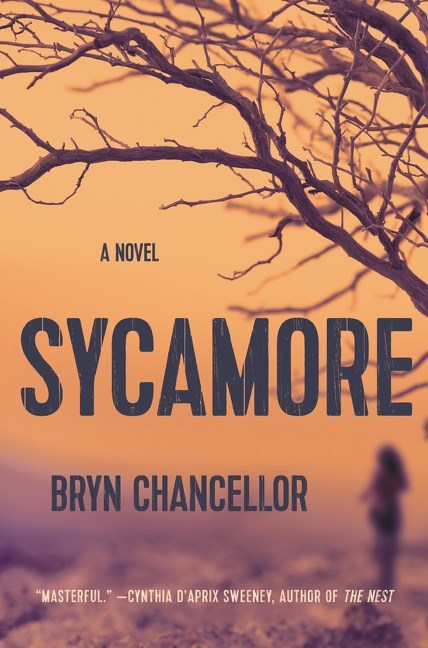 Sycamore by Bryn Chancellor