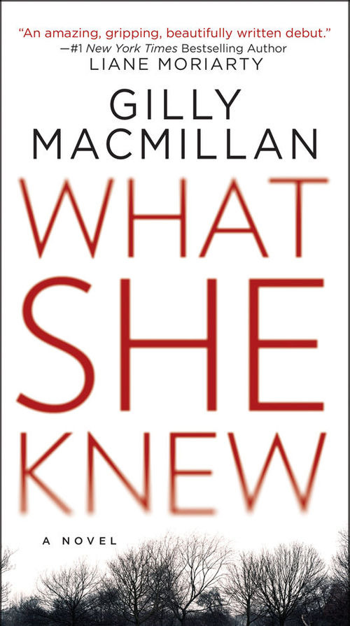 What She Knew by Gilly Macmillan