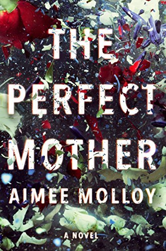 The Perfect Mother by Aimee Molloy