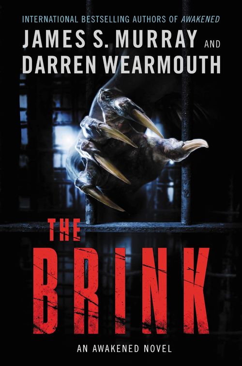 The Brink by James S. Murray