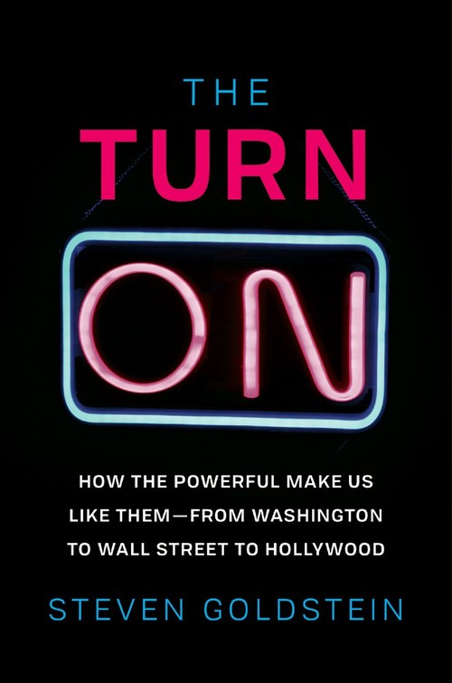 The Turn-On by Steven Goldstein