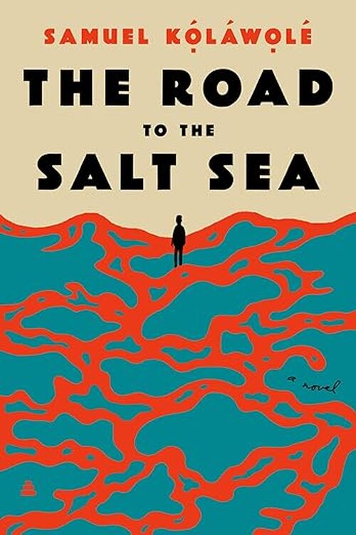 The Road to the Salt Sea by Samuel Kolawole