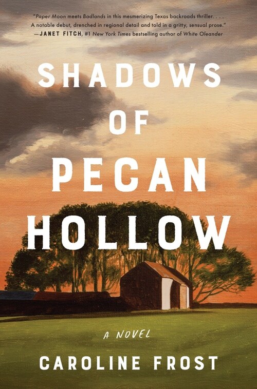 Shadows of Pecan Hollow by Caroline Frost