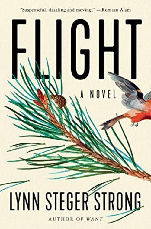 Flight by Lynn Steger Strong