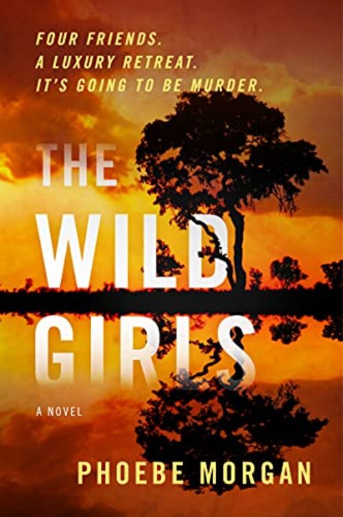 The Wild Girls by Phoebe Morgan