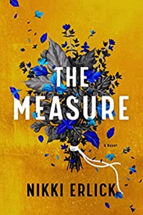 The Measure by Nikki Erlick