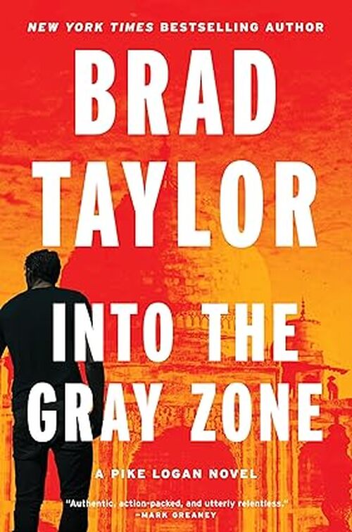 Into The Gray Zone by Brad Taylor