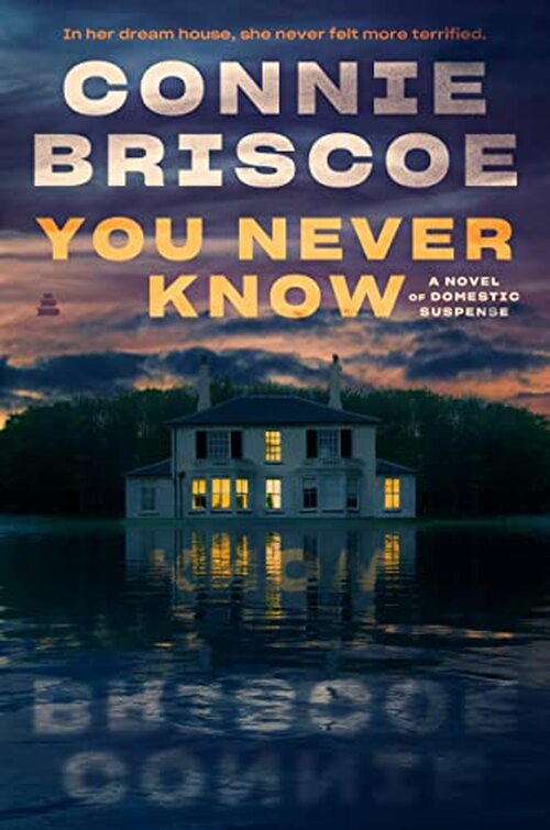 You Never Know by Connie Briscoe