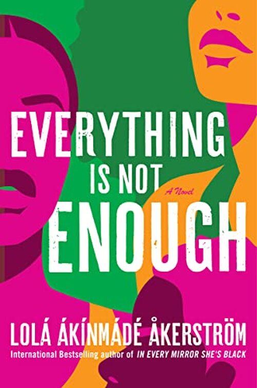 Everything Is Not Enough by Lola Akinmade Akerstrom