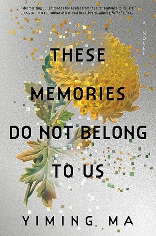 These Memories Do Not Belong to Us by Yiming Ma