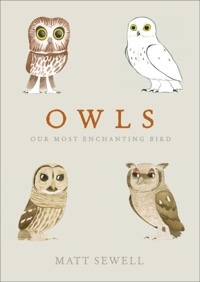 Owls: Our Most Enchanting Bird by Matt Sewell