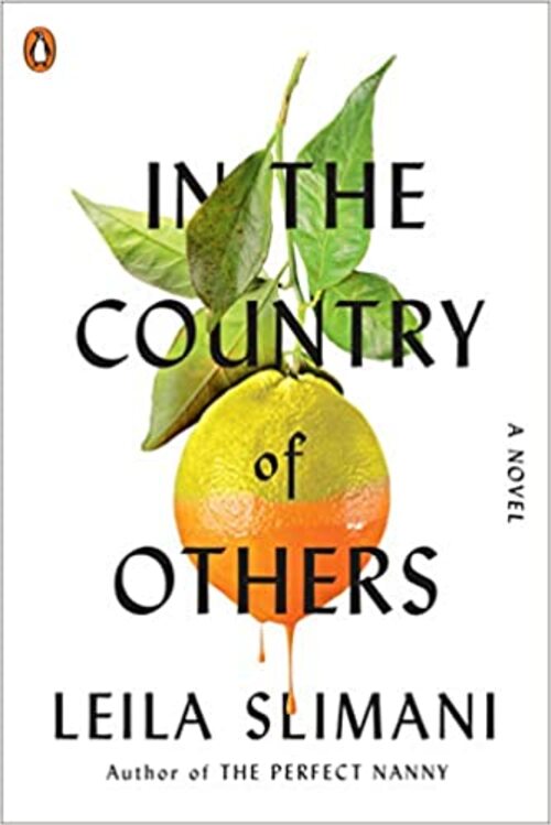 In the Country of Others by Leila Slimani