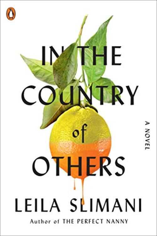 In the Country of Others by Leila Slimani