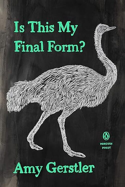 Is This My Final Form? by Amy Gerstler