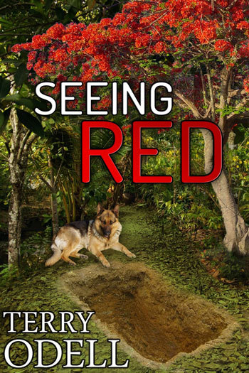 Seeing Red by Terry Odell