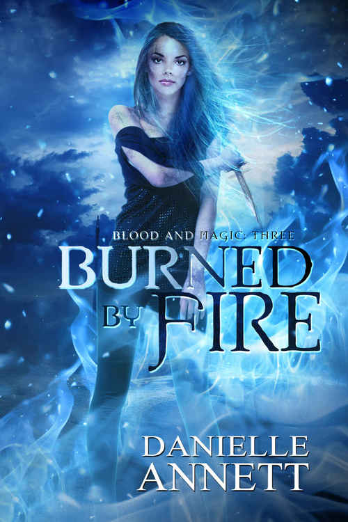 Burned by Fire by Danielle Annett