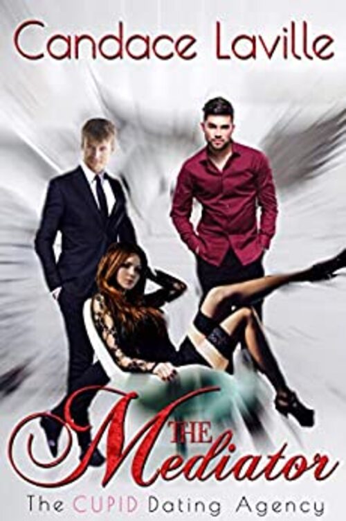 The Mediator by Candace Laville