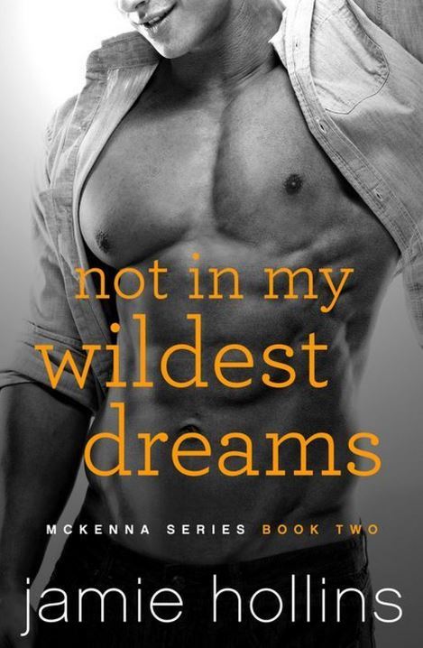 Not In My Wildest Dreams by Jamie Hollins