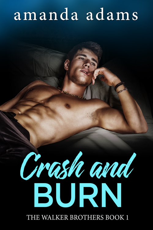 Crash and Burn by Amanda Adams
