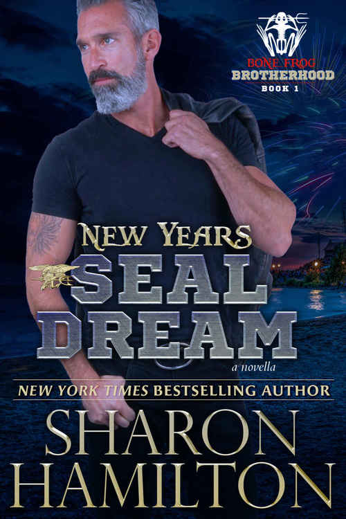 New Years SEAL Dream by Sharon Hamilton