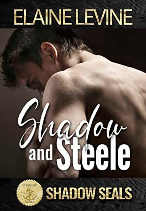 Shadow and Steele by Shadow Sisters