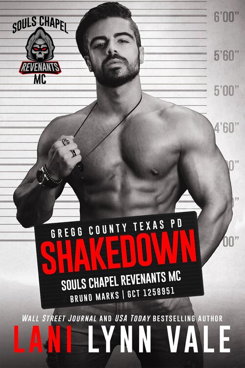Shakedown by Lani Lynn Vale