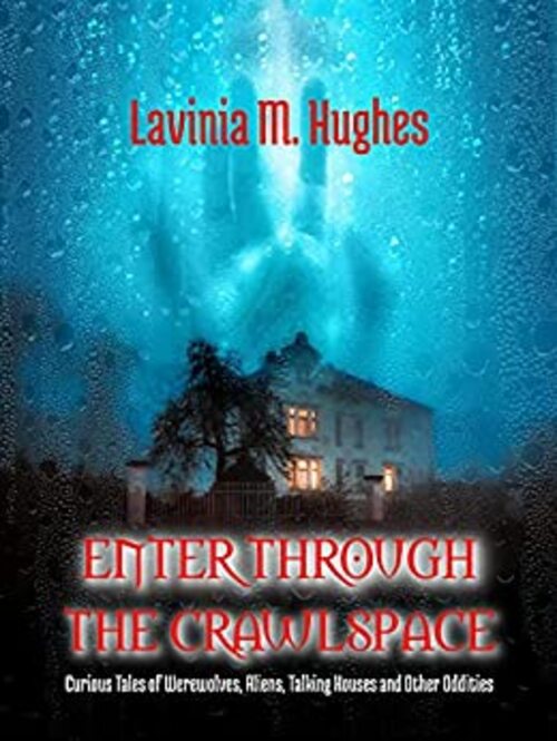 Enter Through the Crawlspace by Lavinia M. Hughes