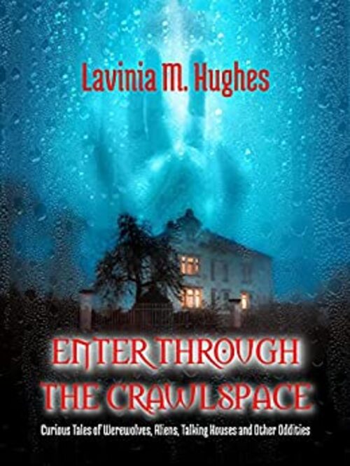 Enter Through the Crawlspace by Lavinia M. Hughes