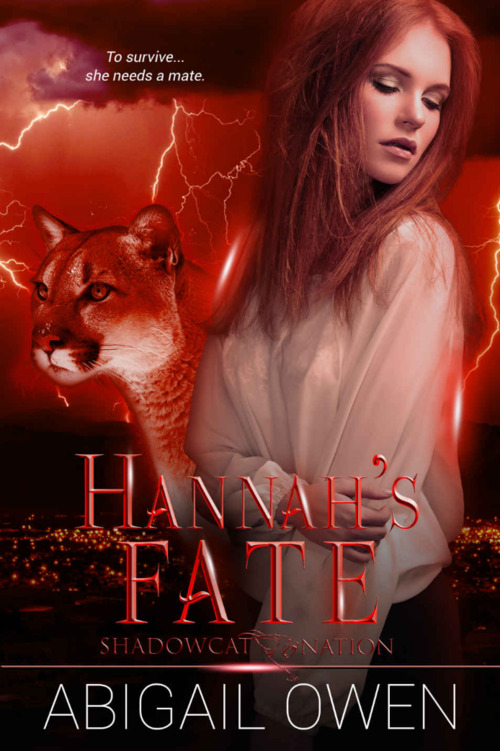 Hannah's Fate by Abigail Owen