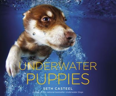 Underwater Puppies by Seth Casteel
