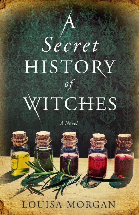 a secret history of witches a novel