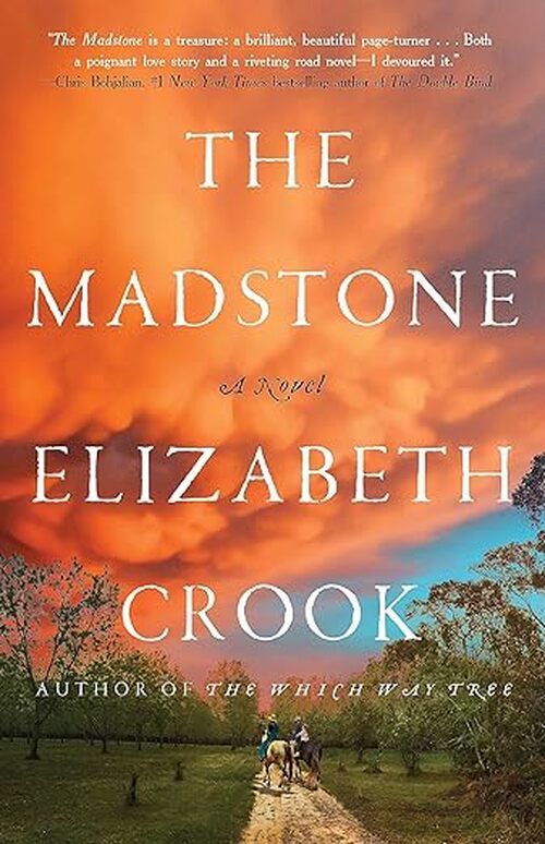 The Madstone by Elizabeth Crook