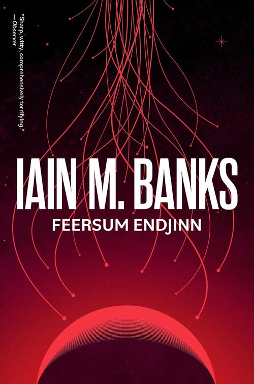 Feersum Endjinn by Iain M. Banks