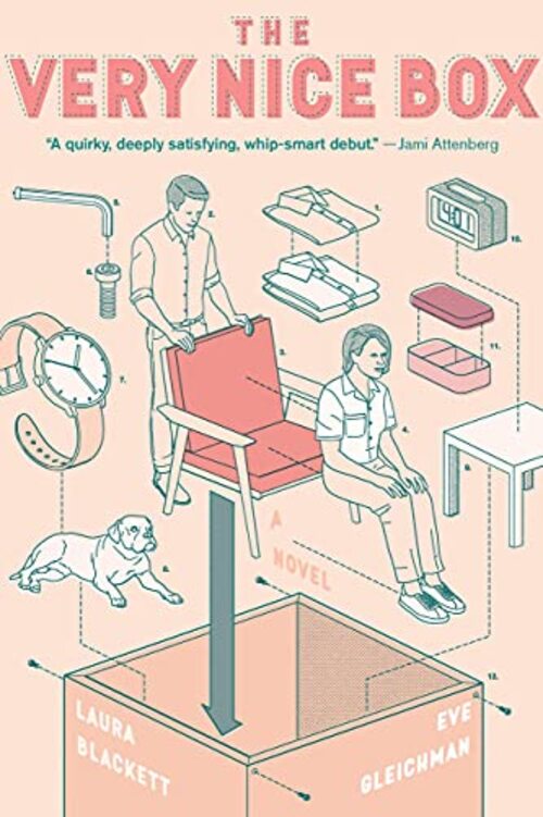 The Very Nice Box by Eve Gleichman