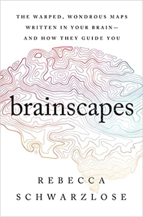 Brainscapes by Rebecca Schwarzlose