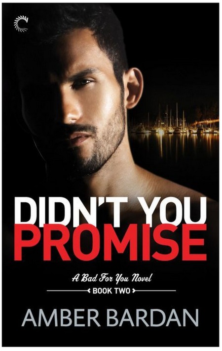 Didn't You Promise by Amber Bardan