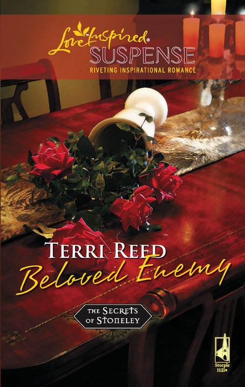 BELOVED ENEMY by Terri Reed